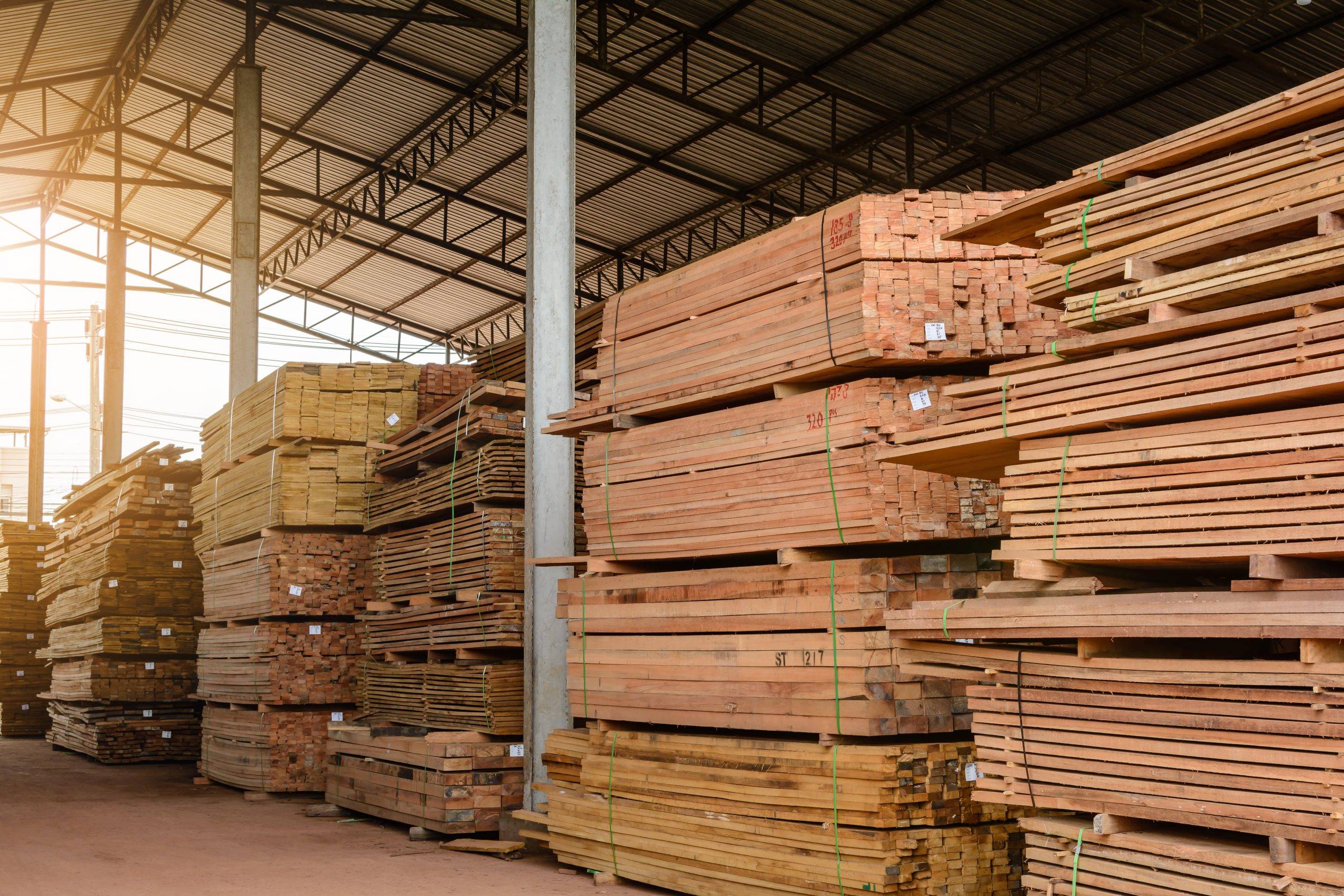 Advanced industrial lumber processing facility with automation technology